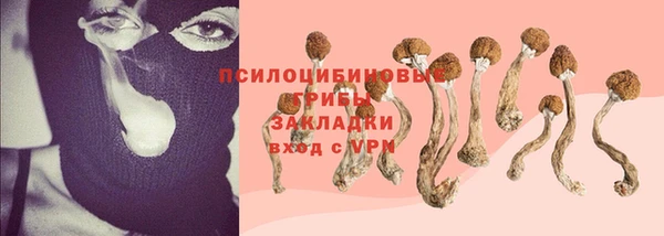 соль курить ск Ладушкин