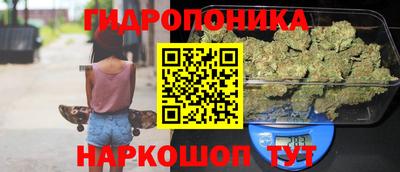МДПВ Будённовск