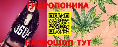 jwh Беслан
