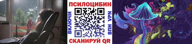 Псилоцибиновые грибы Psilocybe  что такое   Чебоксары 
