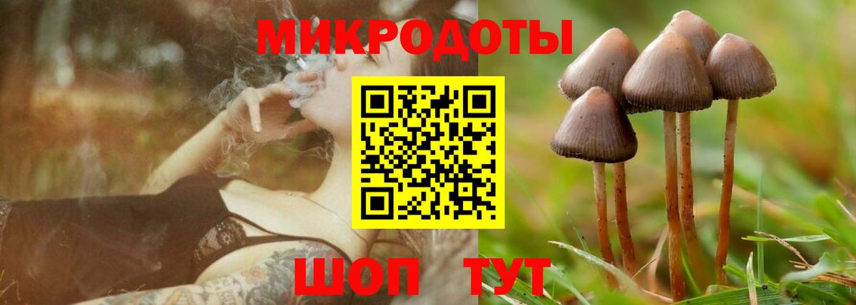 Галлюциногенные грибы Magic Shrooms  Чебоксары 